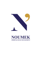 NOUMEK Command Center logo