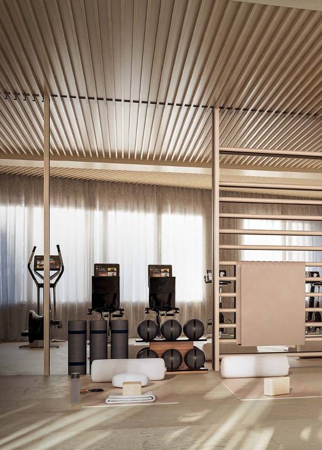 Gymnasium & Fitness Studio