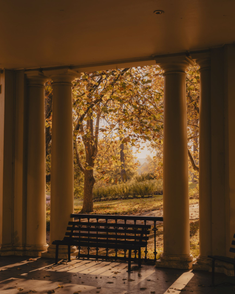Shaded Terrace