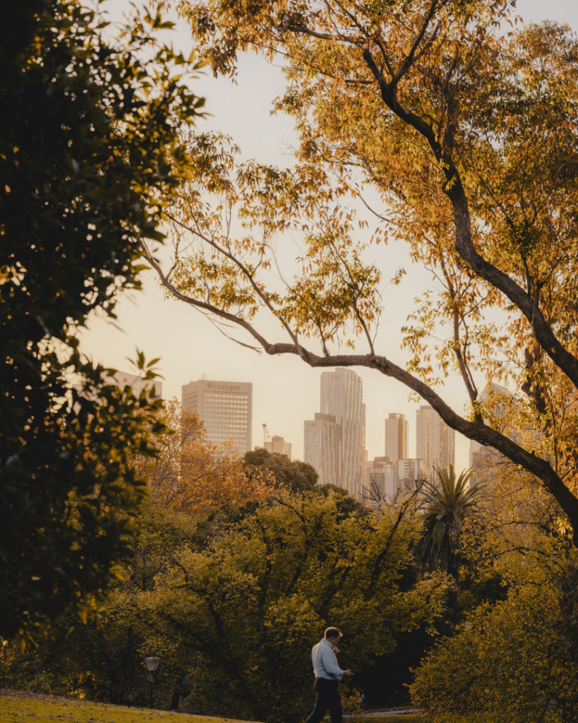 Garden City View