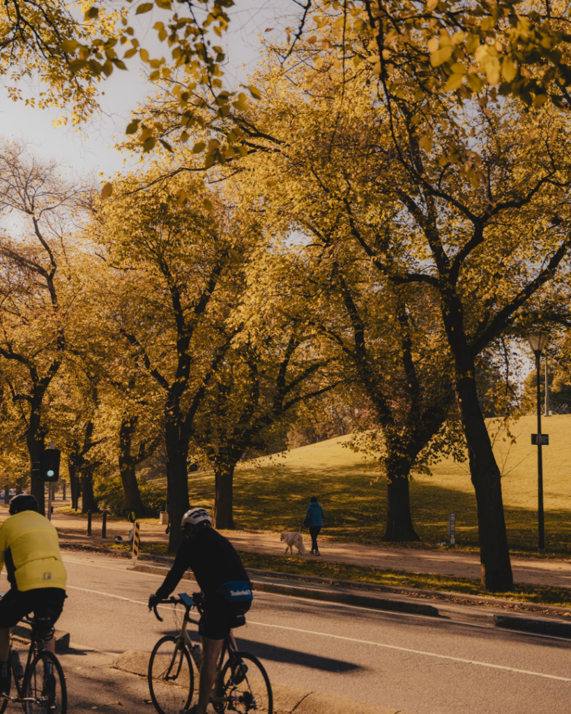 Cycling Route