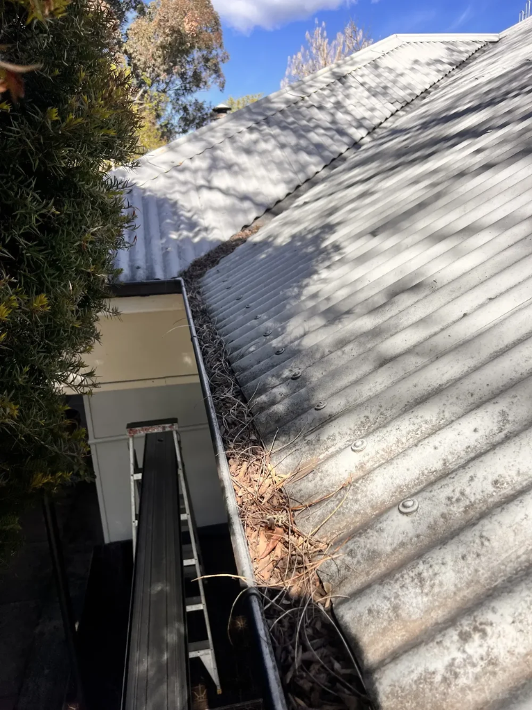 How to Protect Your Gutters Before Bushfire Season