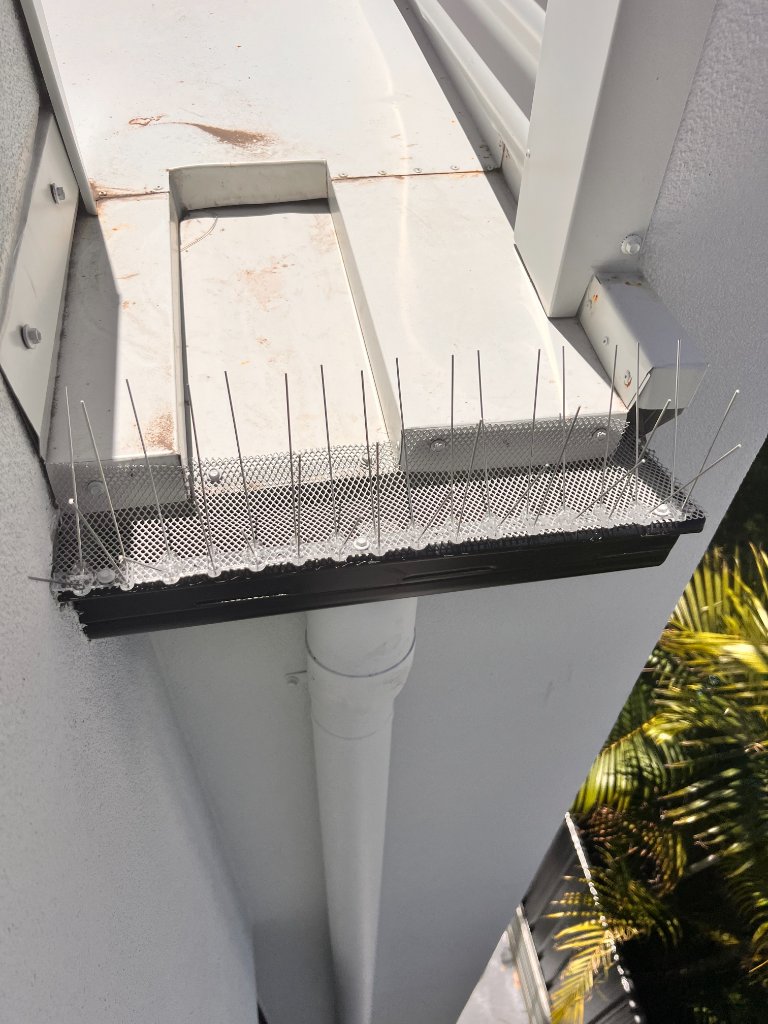 Bird & Rodent Proofing