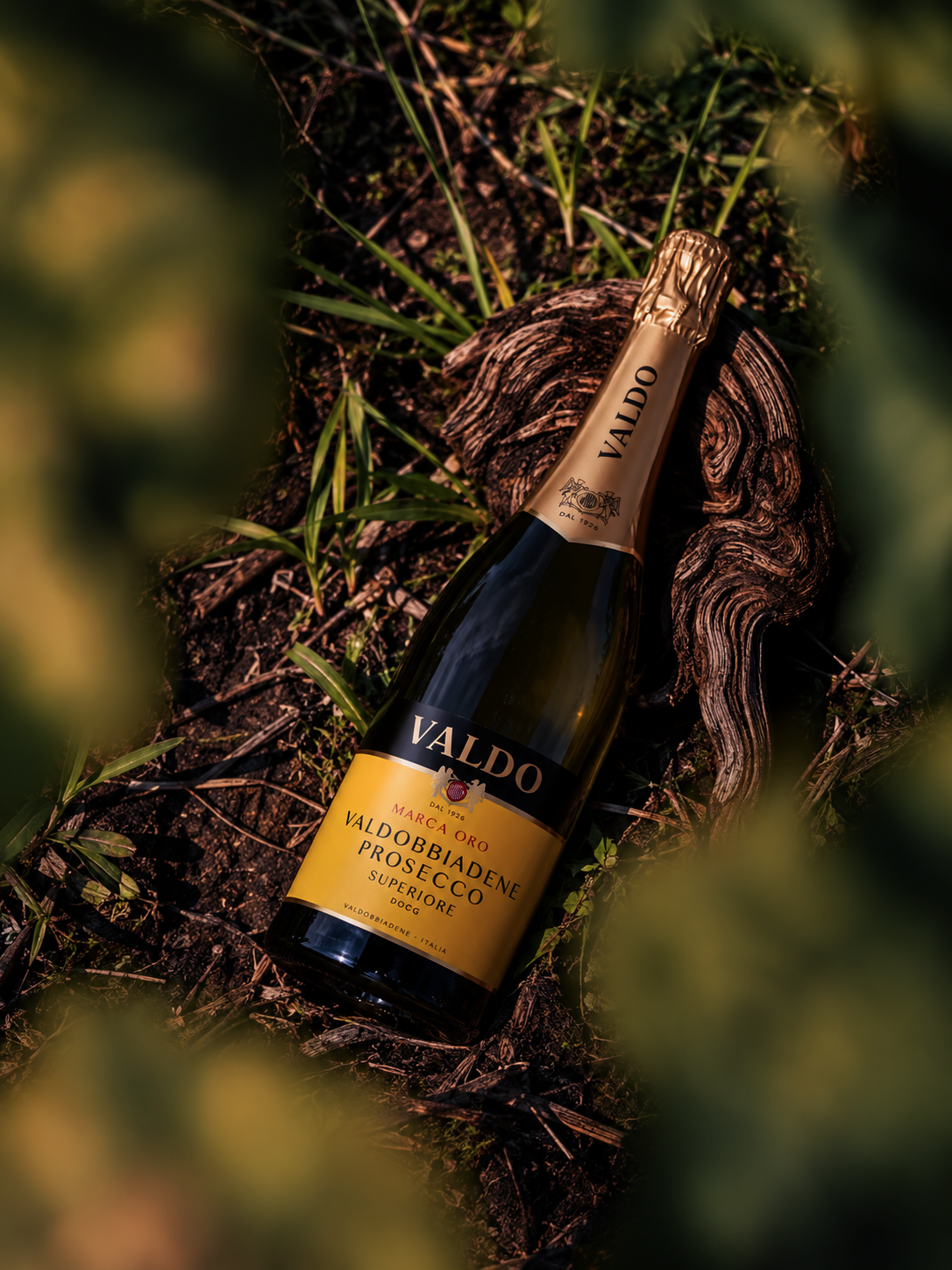 Valdo Marca Oro Valdobbiadene Prosecco Superiore DOCG bottle resting on dark soil among foliage