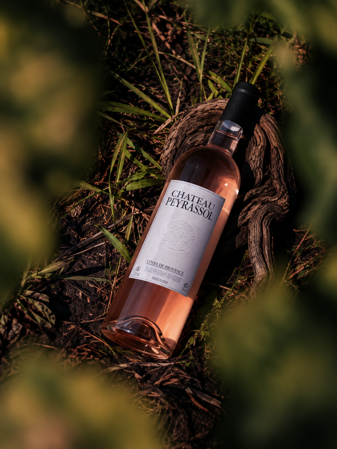 Chateau Peyrassol Côtes de Provence rosé bottle lying on dark soil framed by foliage