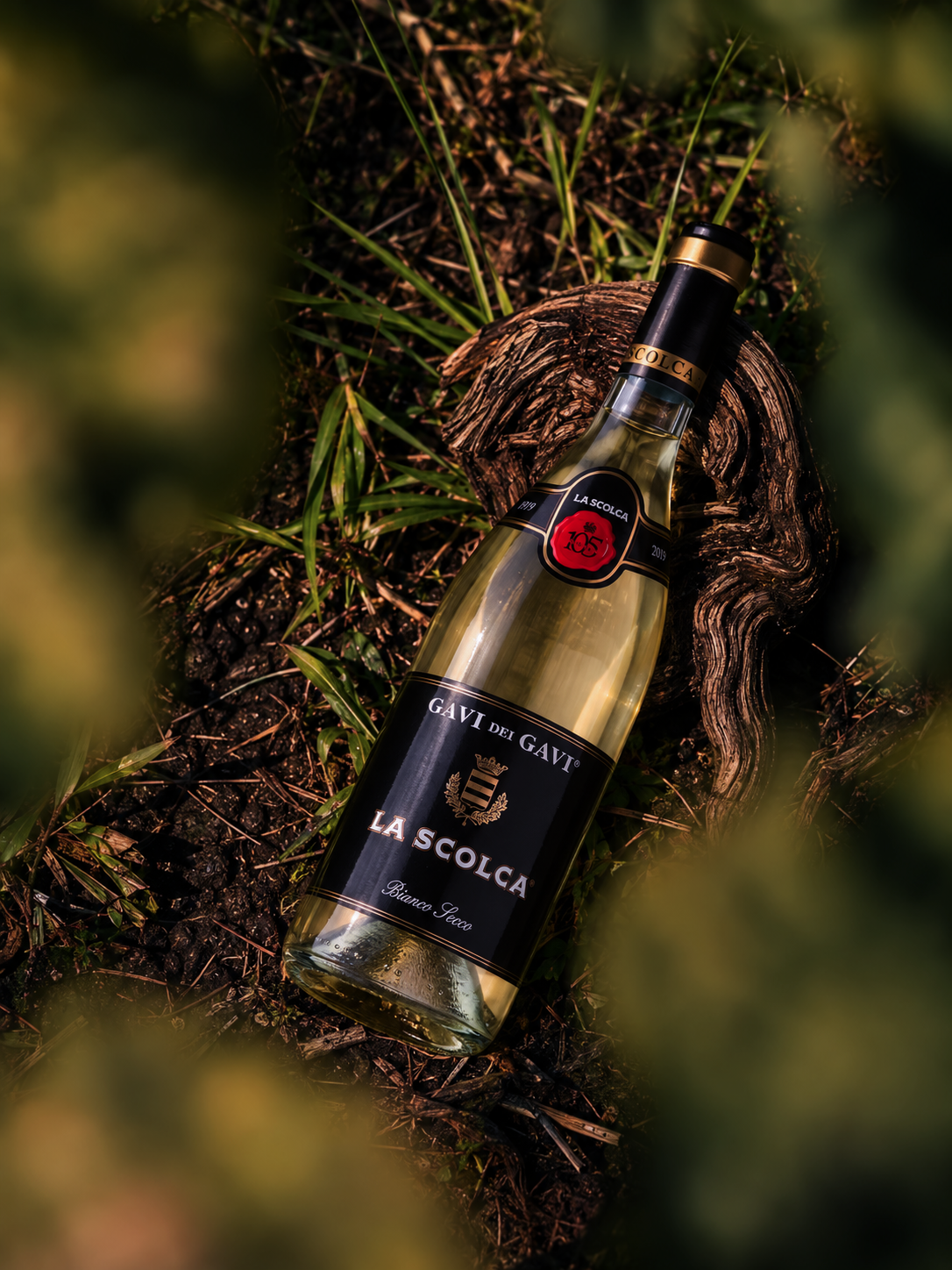 La Scolca Gavi dei Gavi white wine bottle resting on driftwood among grass