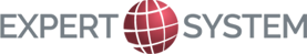 Expert System