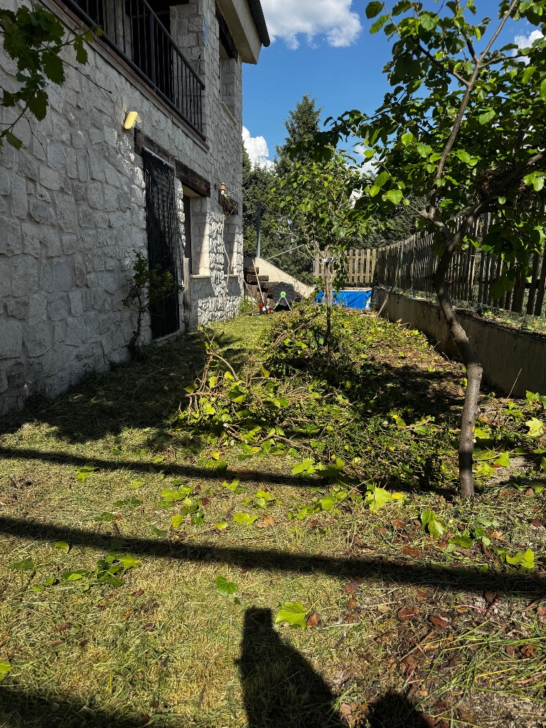 Antes - Limpieza de jardín en Cuéllar