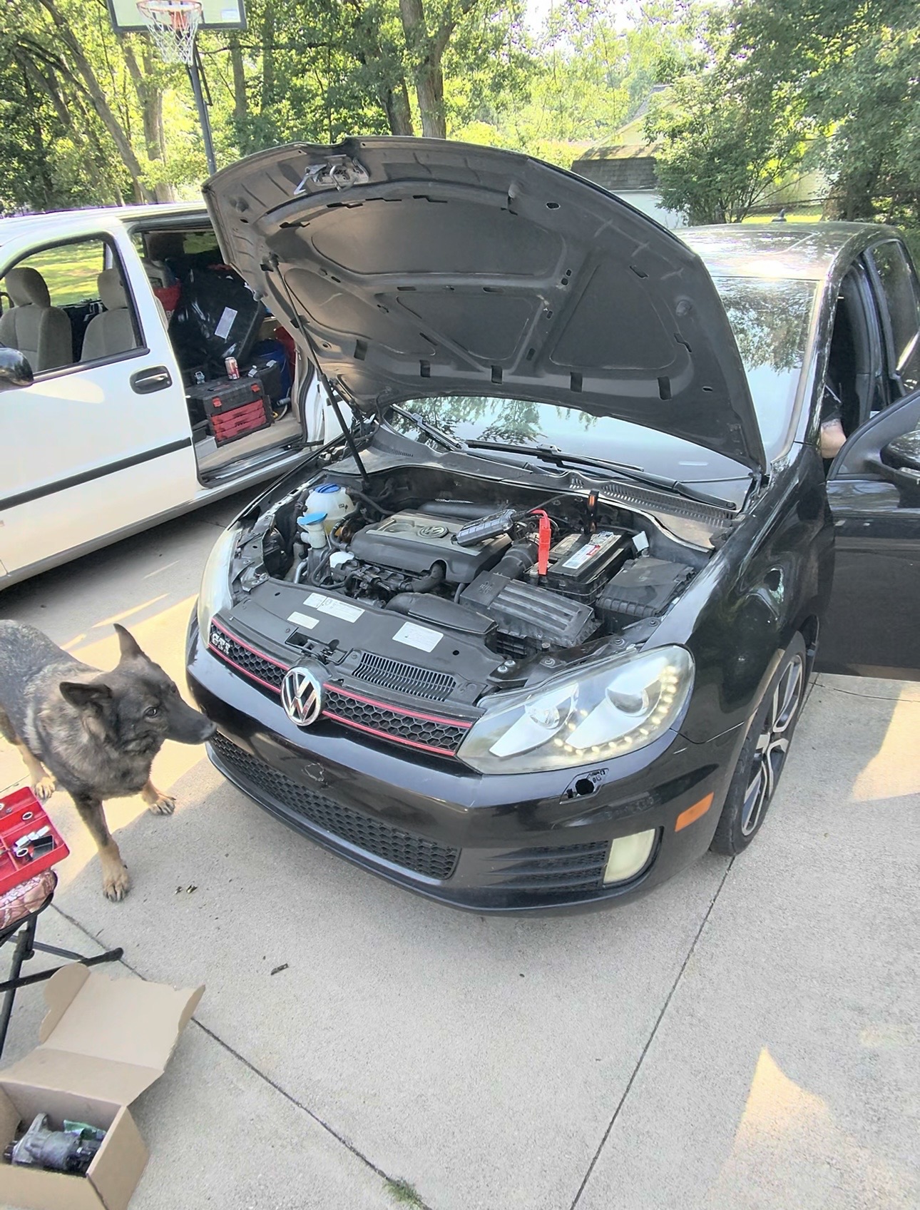 Volkswagen GTI Starter Replacement