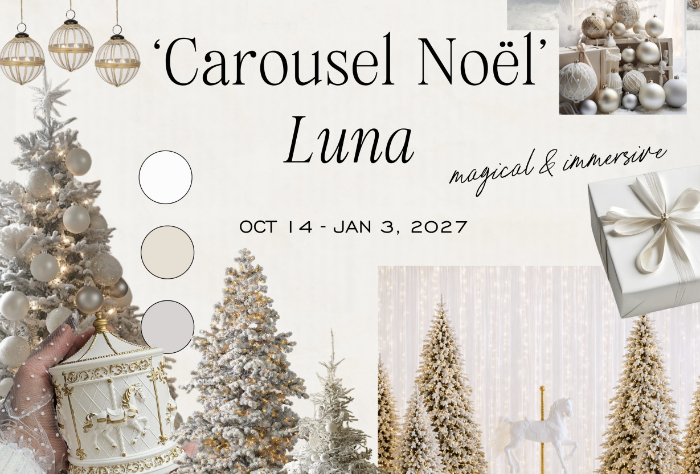Carousel Noël holiday studio set