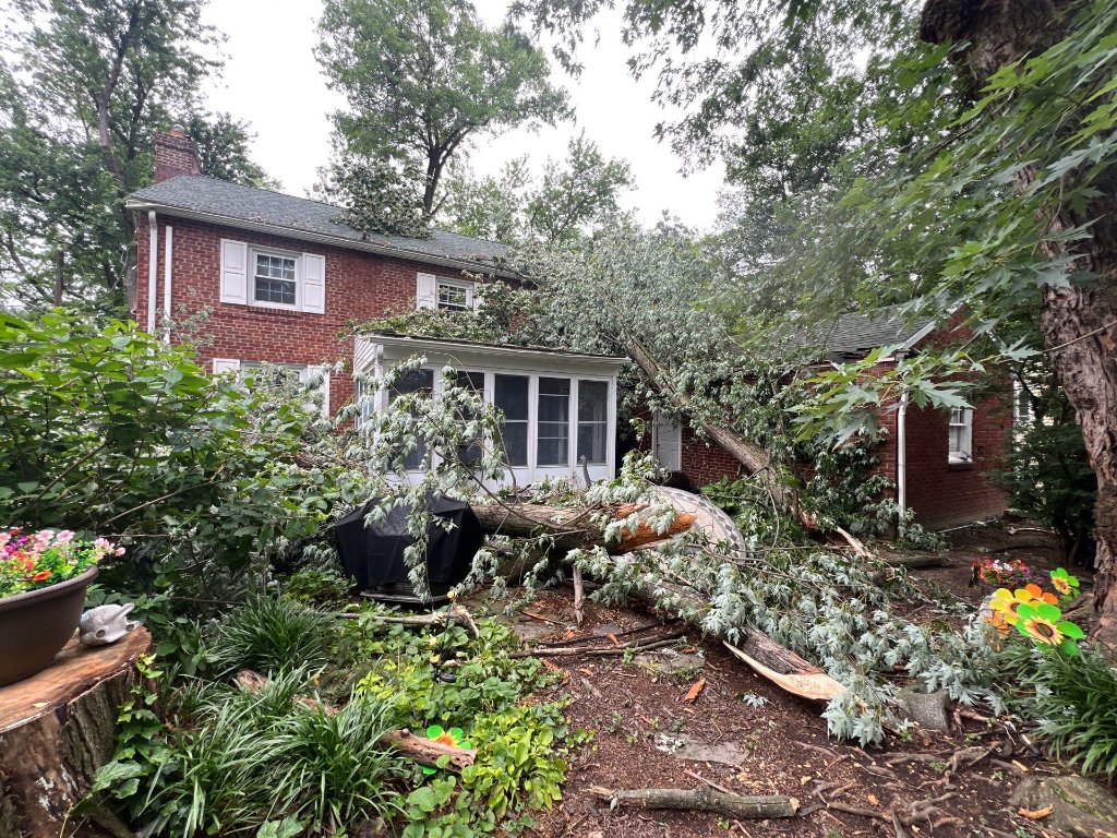 Storm damaged roof