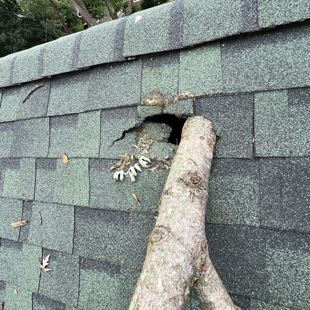 Branch piercing through roof