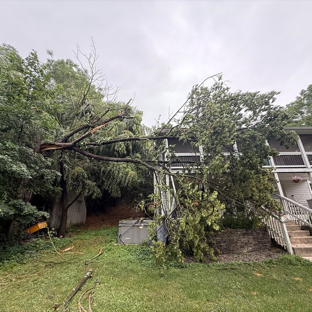 Fallen tree branch against house