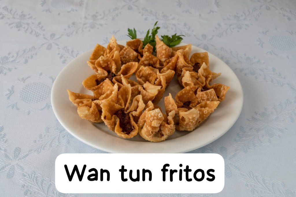 Wan Tun Fritos (12ud)
