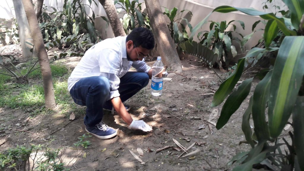 Be a Savior · Tree Planting 2017