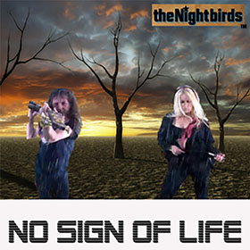 The Nightbirds cover art 17