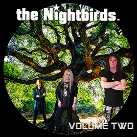 The Nightbirds Vol. 2 Album cover art