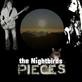 The Nightbirds cover art 20