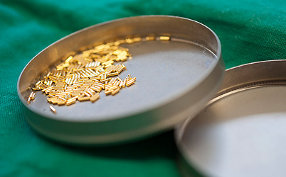Fragmentos de ouro para implante veterinário
