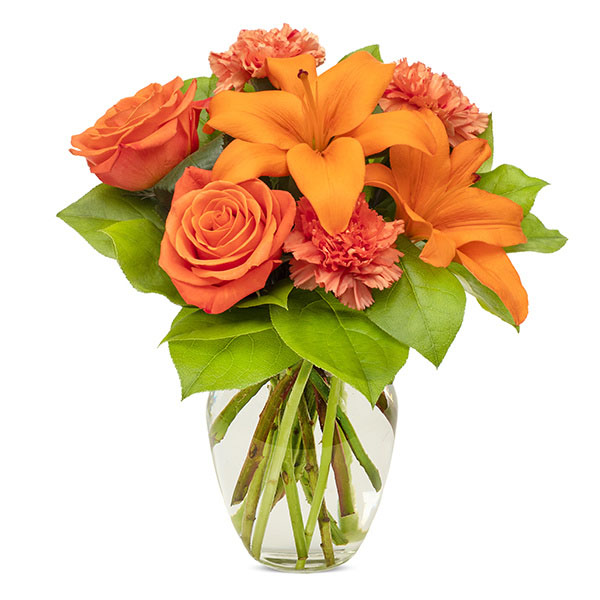 All Orange For You