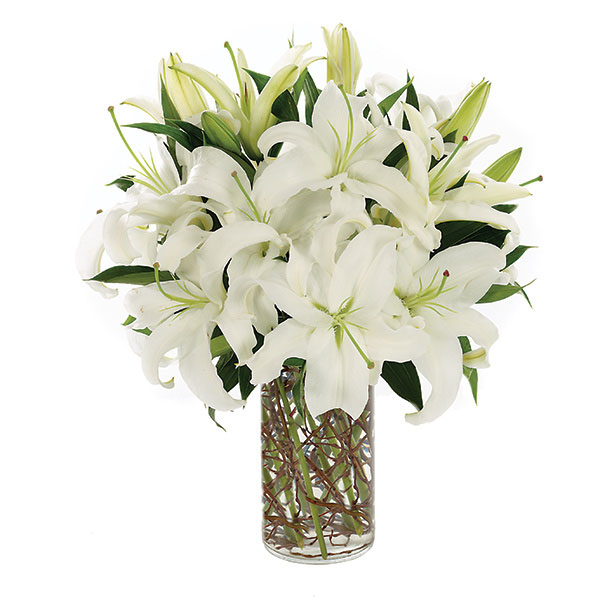 Simply Lily - White