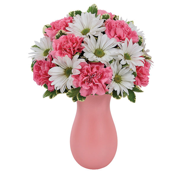 Daisy & Rose Delight