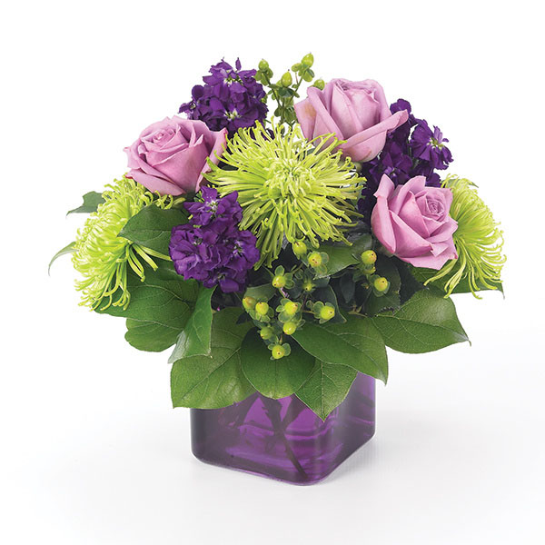 Purple Passion