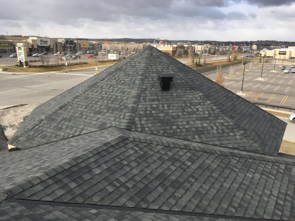 Roof Inspection