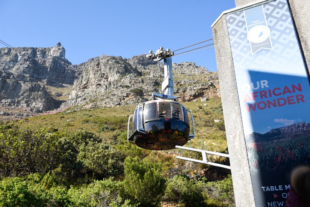 Half-Day Table Mountain & City Tour — CAPE TOWN guided tour — photo 3