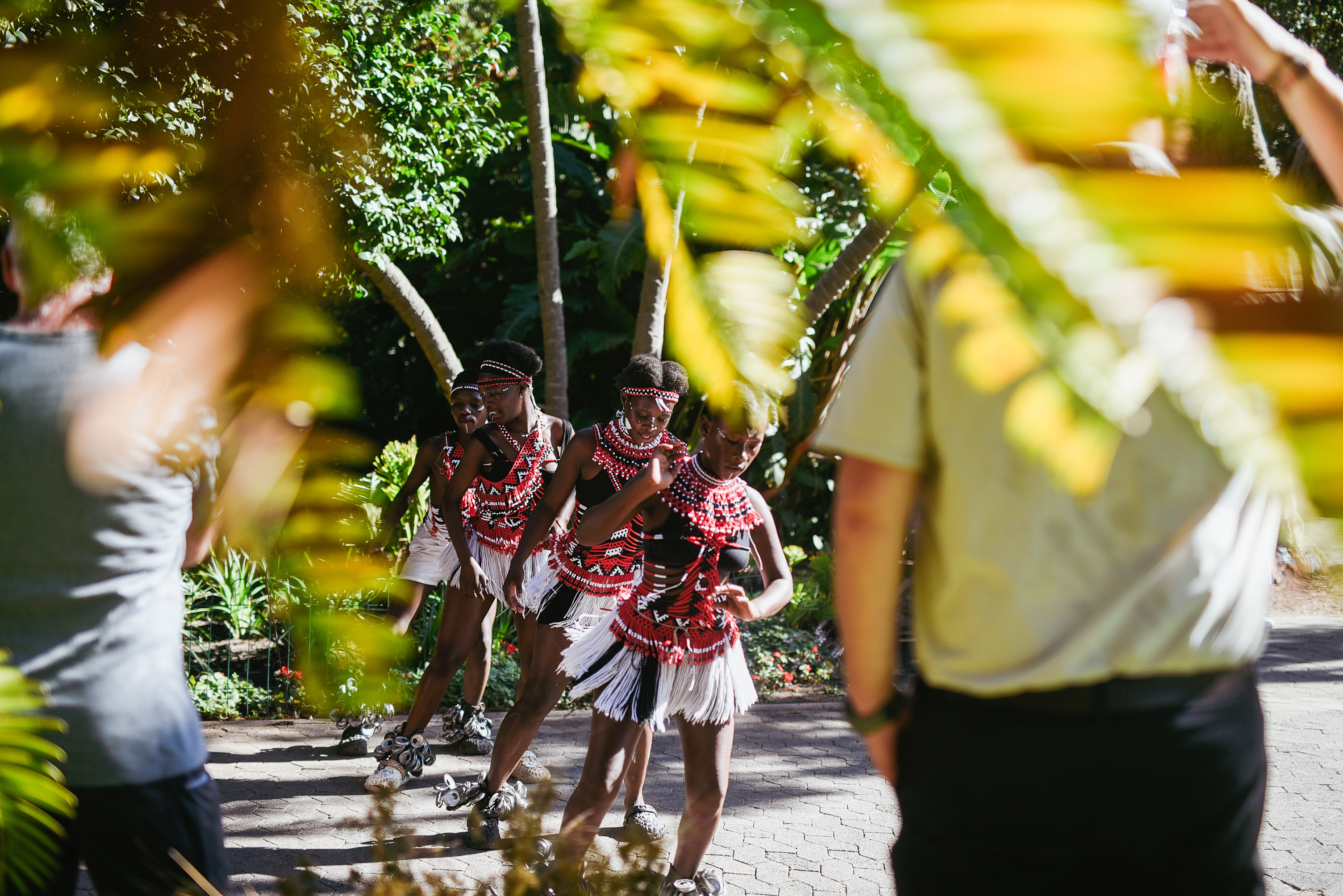 A traditional dance group performing outdoors for visitors in Cape Town