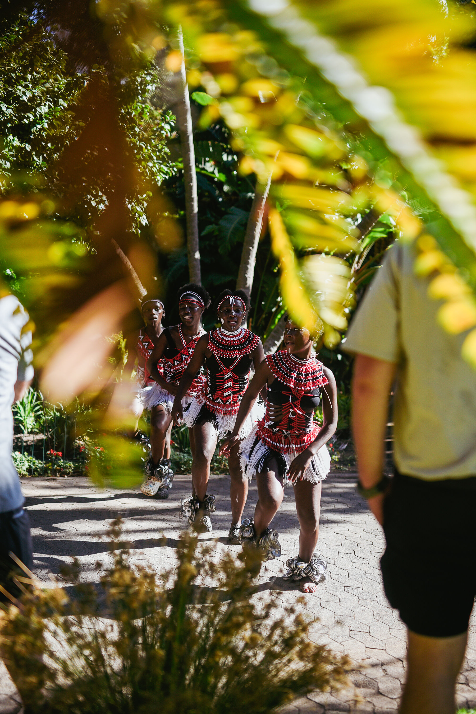Dancers in traditional beaded dress performing in a Cape Town garden