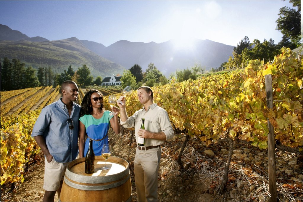 Full-Day Winelands Tour — private guided Cape Town day tour with One Day Africa