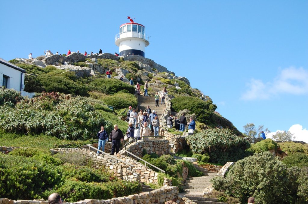 Half-Day Cape Point Tour — private guided Cape Town day tour with One Day Africa