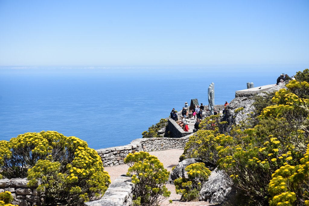 Half-Day Table Mountain & City Tour — CAPE TOWN guided tour — photo 4