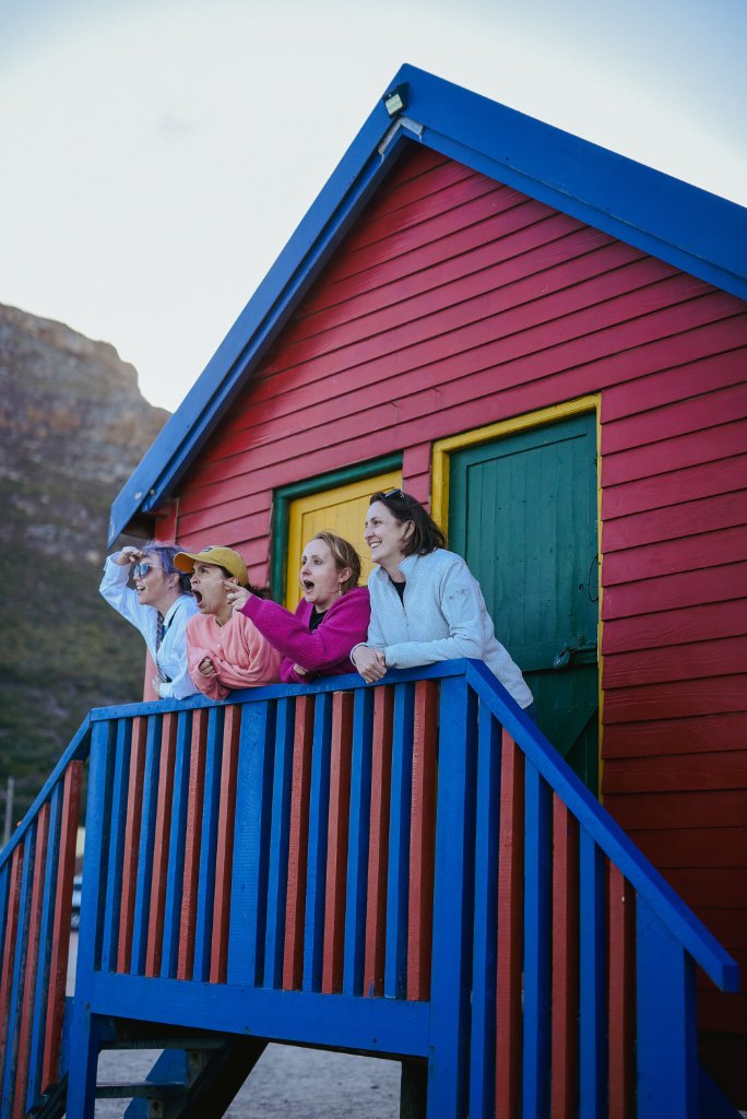 Cape Peninsula Day Tour: Cape Point, Penguins & Chapman's Peak — guided Cape Town cultural tour with a local One Day Africa guide