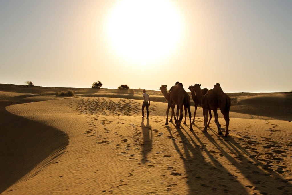 Meditative Walking Tour in the Desert photo 5