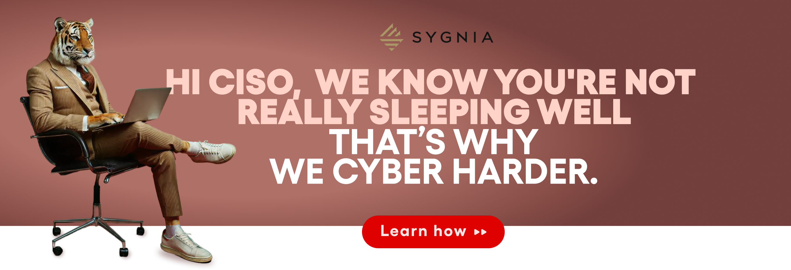 Sygnia campaign asset