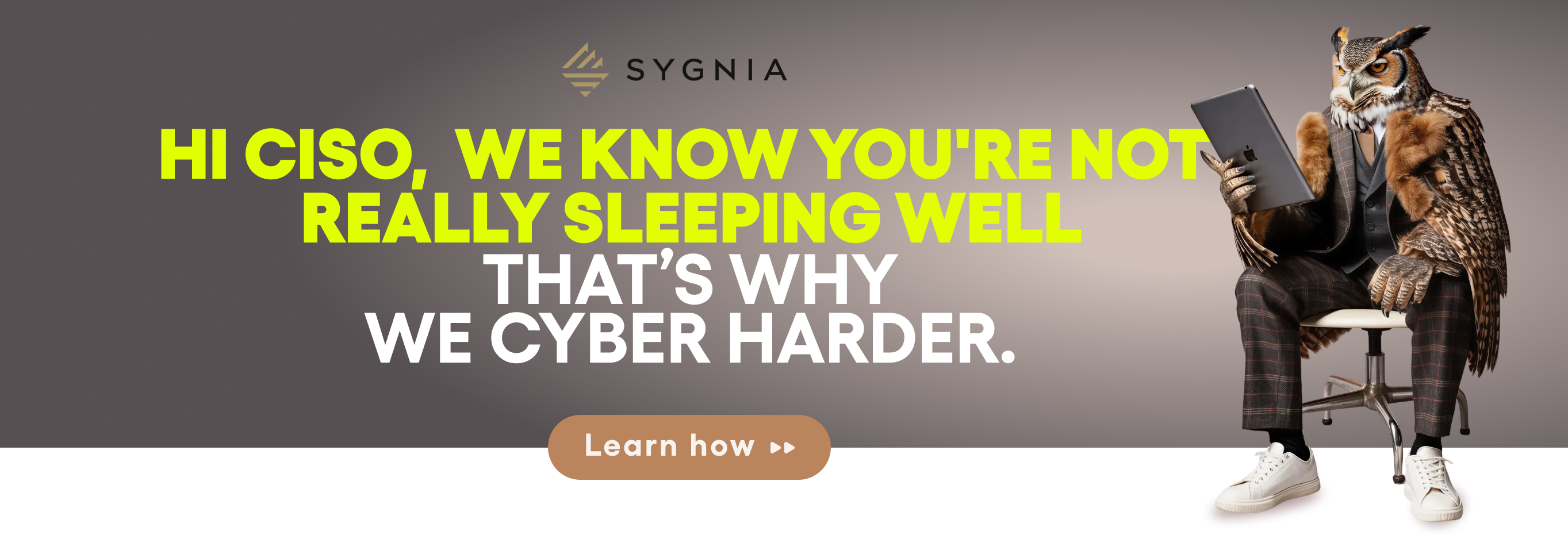 Sygnia campaign asset