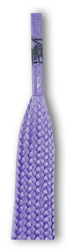 Catalog #51