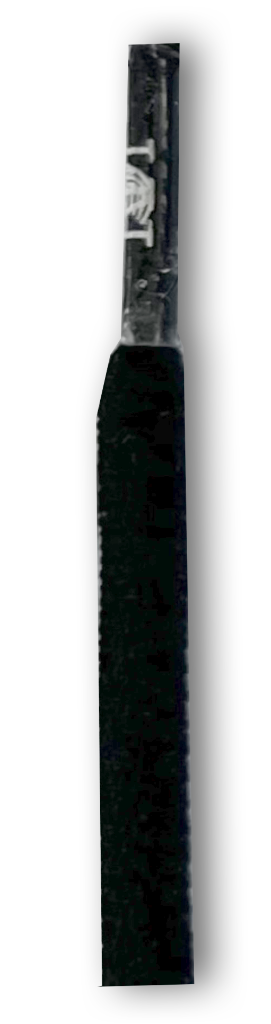 Catalog #12