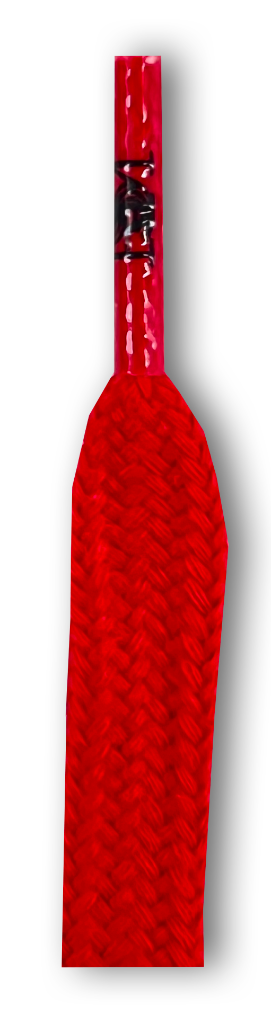 Catalog #54