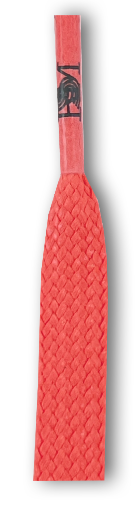 Catalog #49