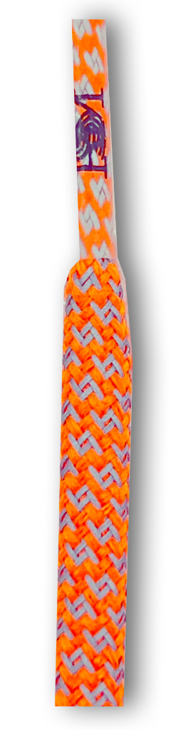 Catalog #36