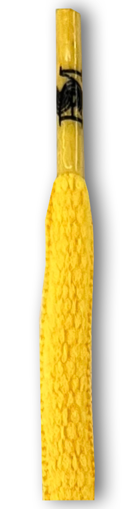 Catalog #5