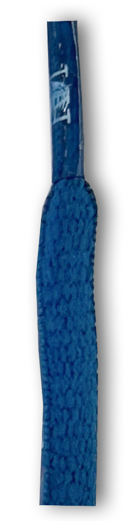 Catalog #10