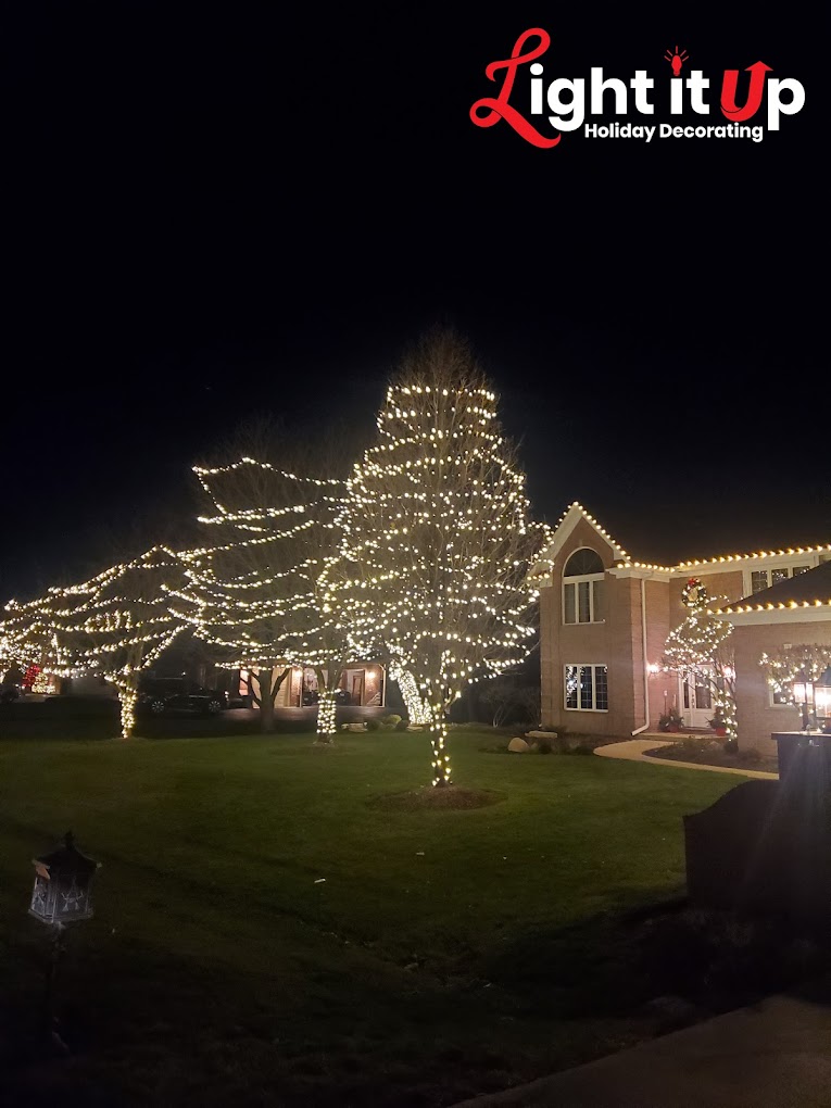 Warm white outer wrapped trees and roofline Christmas lights