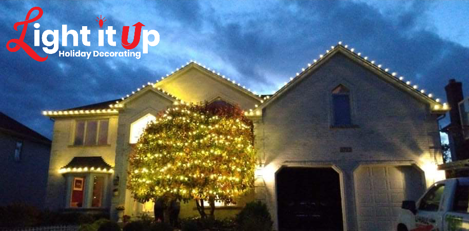 Warm white roofline and heavily lit bush Christmas display