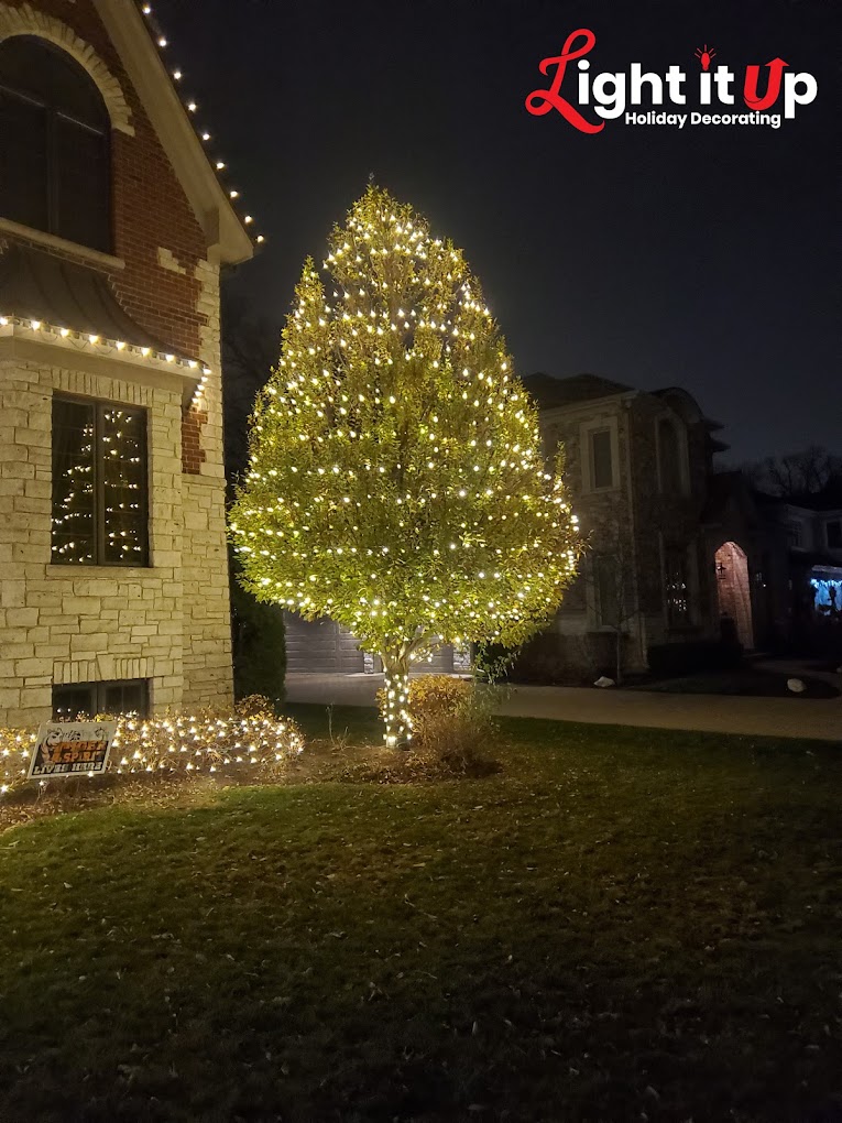 Warm white outer wrapped evergreen tree with roofline lights