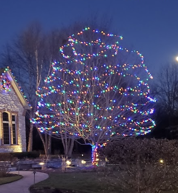 Outer Wrapped Trees