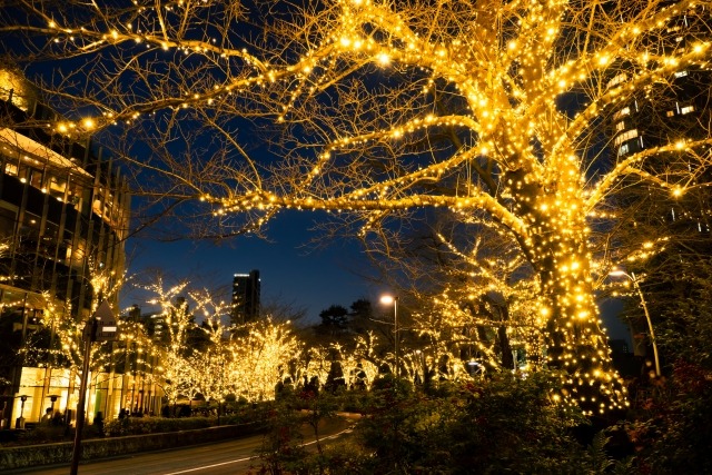Tokyo Midtown Starlight Garden 10